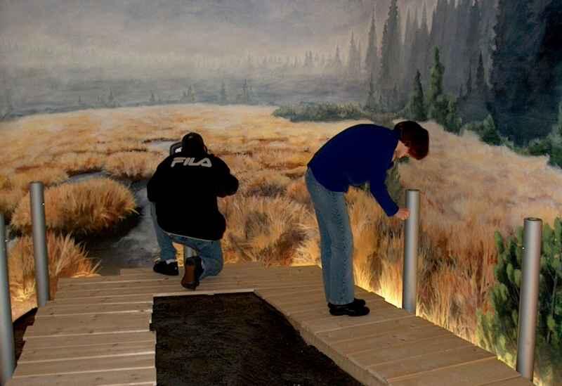 Naturparkhaus 13886 Ausstellung 