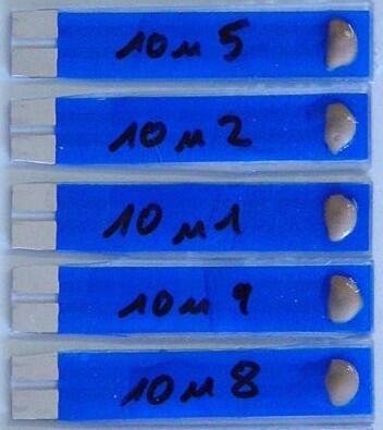 Biosensoren mit nitrifizierenden Bakterien 