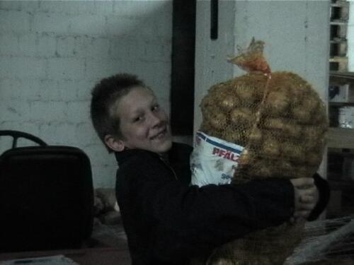 Schleppen der Kartoffelsäcke 