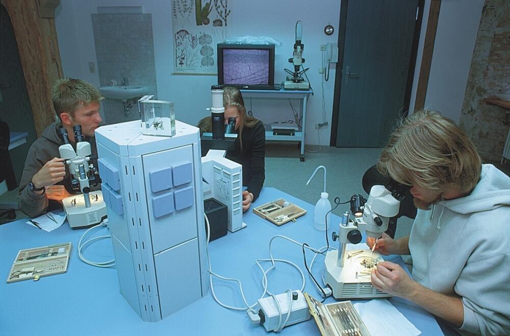 Mikroskopieren im Kloster 