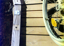 Natur für alle, Bild: H.- Günter Heiden 