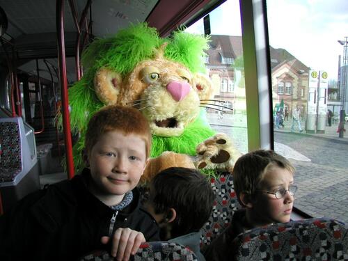 Der Graslöwe fährt Bus 