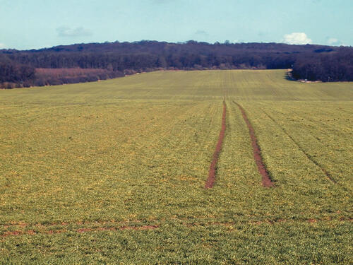Magdeburger Börde - Ackernutzung 