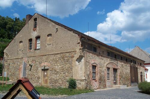 St. Marienthal, 16. Juli, Pfefferminze 