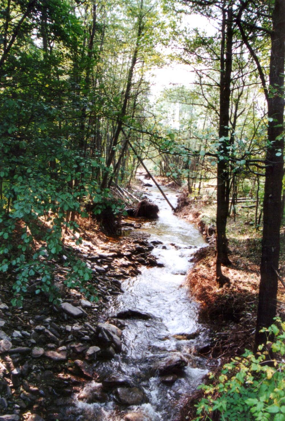 Oberlauf der Gottleuba 