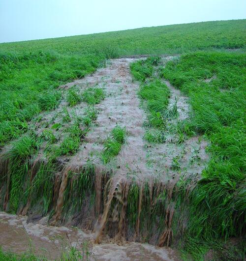 Kooperationsprojekt Mulde 