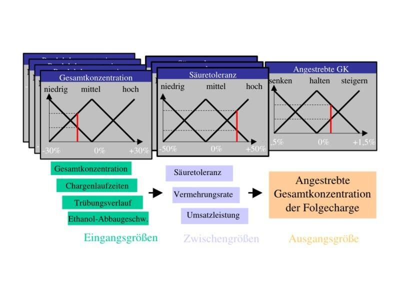 virtueller Essigmeister 