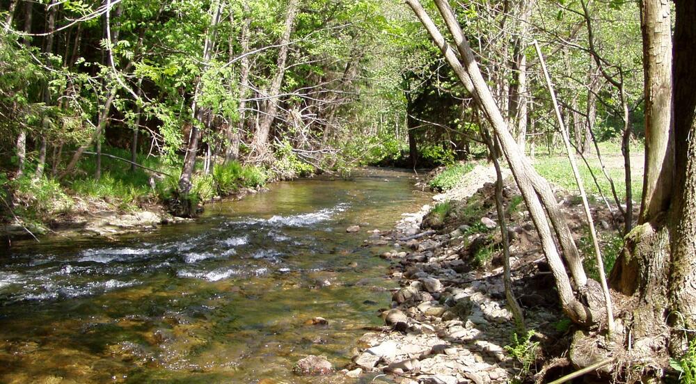 Neue Förderleitlinien 