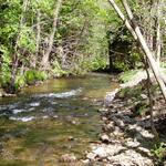 Neue Förderleitlinien 