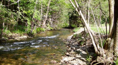 Neue Förderleitlinien 