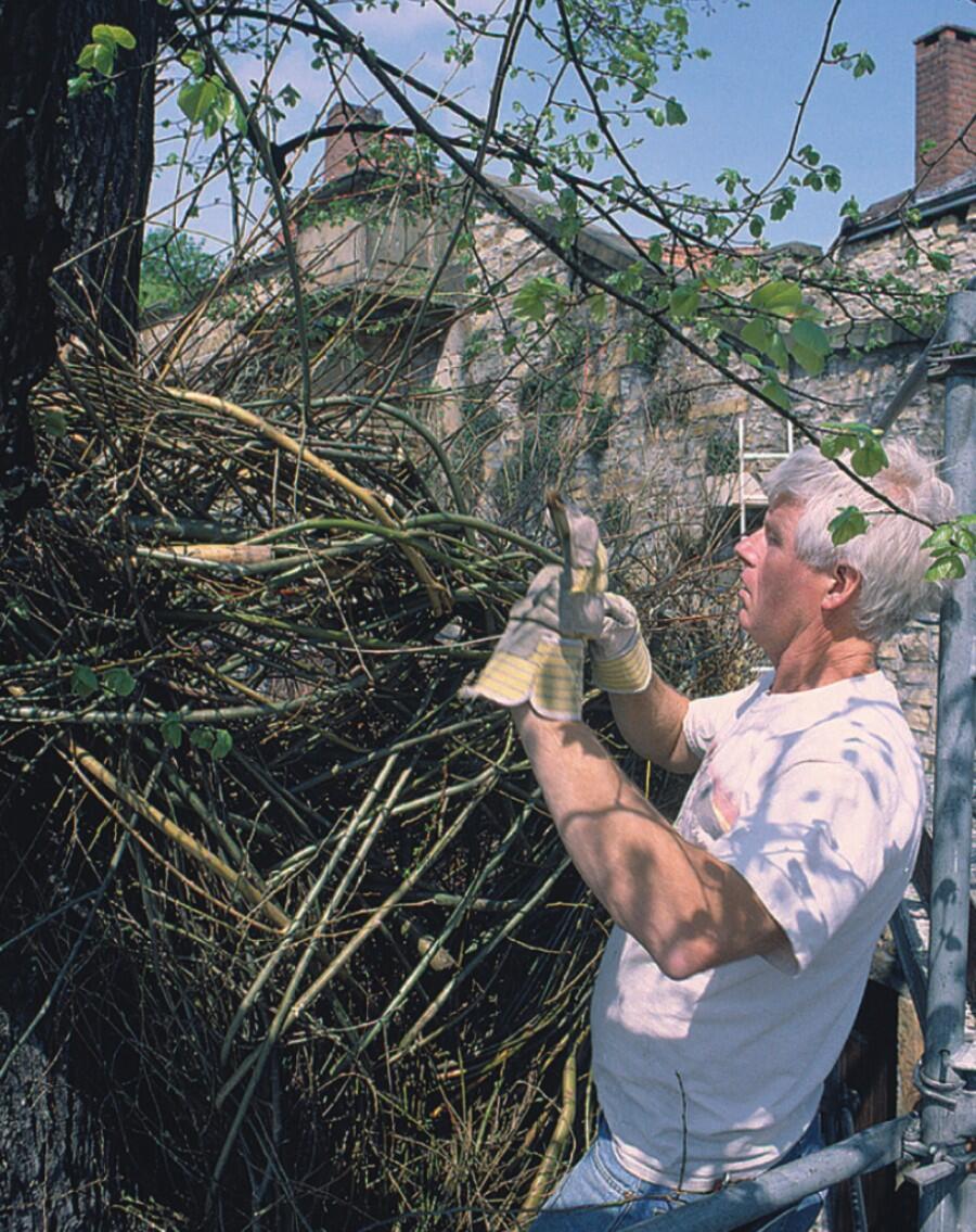 Weidenskulptur Heger Tor in Arbeit 