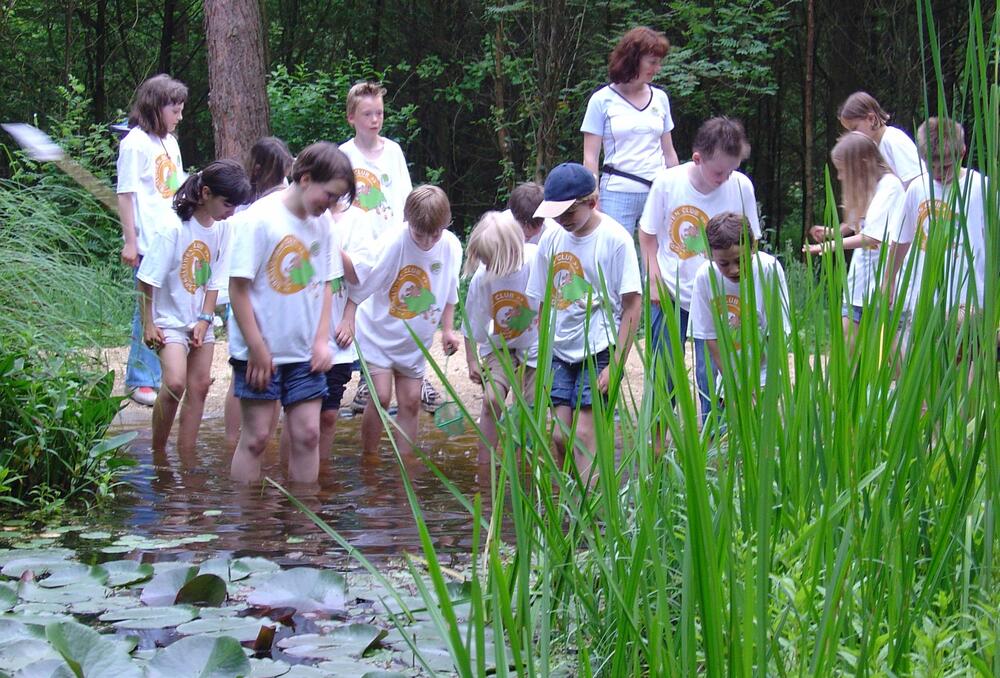 Graslöwen Programm Jugendherbergen 