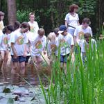 Graslöwen Programm Jugendherbergen 