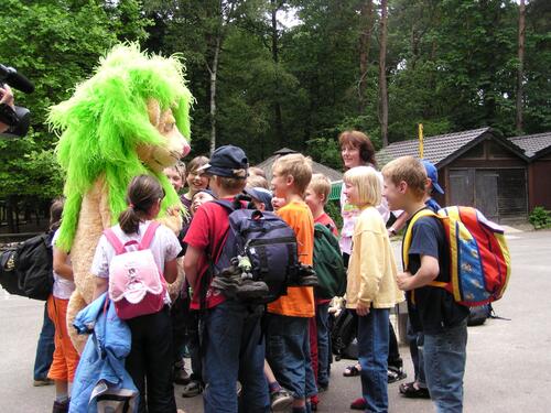 Graslöwen Programm Jugendherbergen Graslöwe 