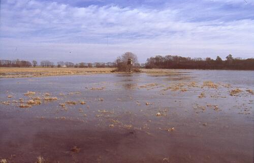 Demnitzer Mühlenfließ 