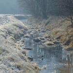 Demnitzer Mühlenfließ Sohlanhebung 