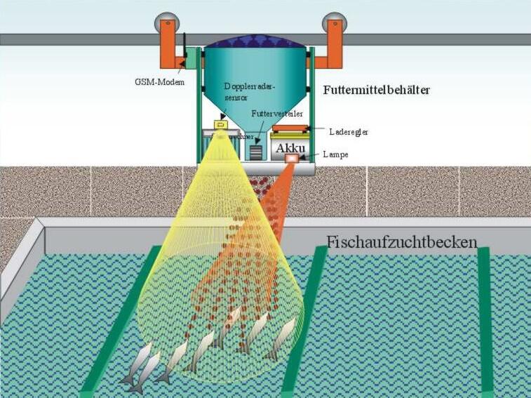 Schema Fischfutterautomat 