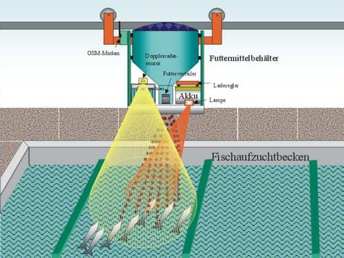 Schema Fischfutterautomat 