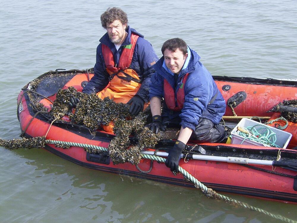 Miesmuschelzucht - Mitarbeiter 