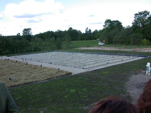 Pflanzenkläranlage1 