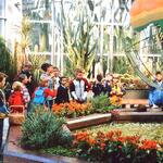 Palmengarten, Frankfurt 