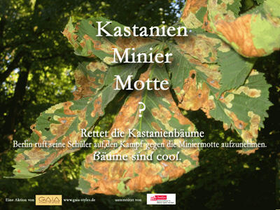 Gaia - Rettet die Kastanienbäume 