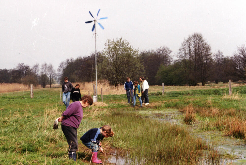 Renaturierung von Feuchtwiesen in HH-Wilhelmsburg 