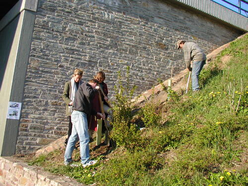 Wolfgang Landsfeld MUNA 2003 Pflanzaktion 