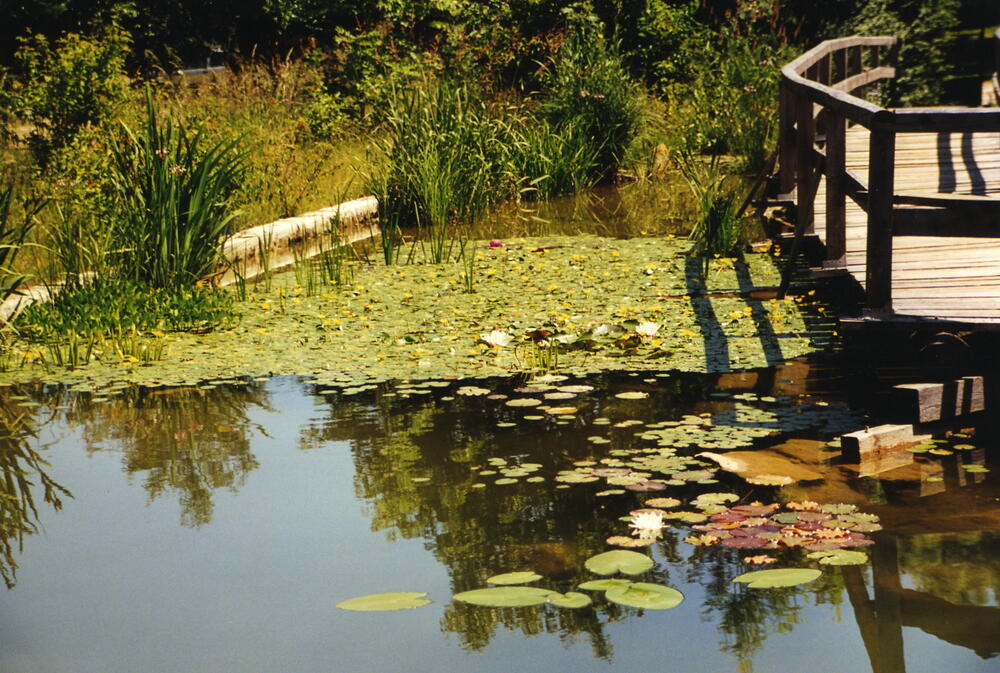 altes Freibad in Thalmassing (Bayern) 