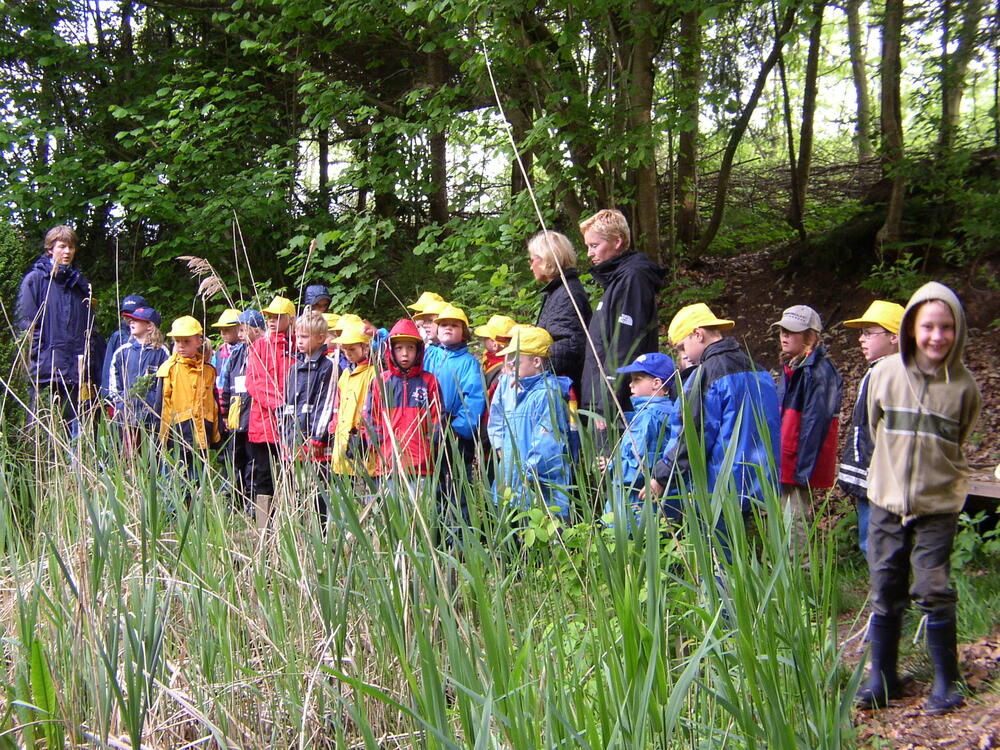 Jeddeloh Exkursionen mit Kindern im Edewechter Privatwald 