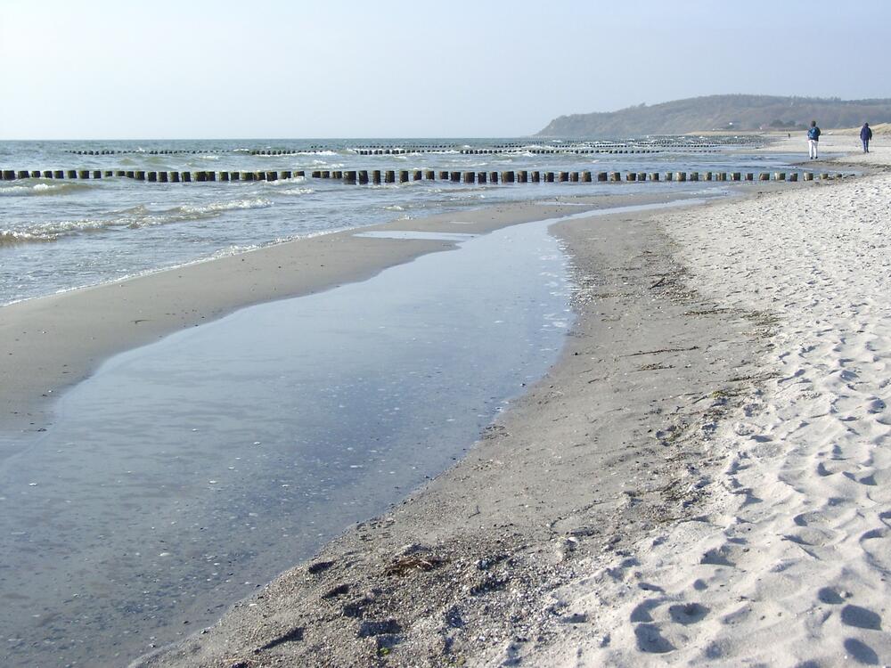 Stipendienschwerpunkt Ostsee Strand Hiddensee 