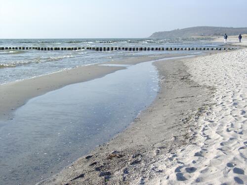 Stipendienschwerpunkt Ostsee Strand Hiddensee 