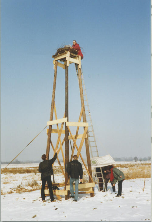 Harald Köpke BUND-Hamburg Installation Storchennisthilfe 