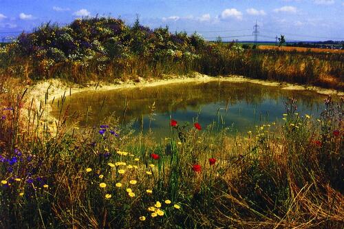 Goldene Natur 2001 Neuanlage von Flachgewässern im Limbacher Land_Foto Andreas Winkler &copy; Andreas Winkler, Limbach-Oberfrohna