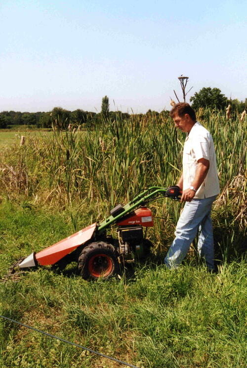 Goldene Natur 2001 Franz Debatin NABU Hambrücken &copy; NABU Hambrücken