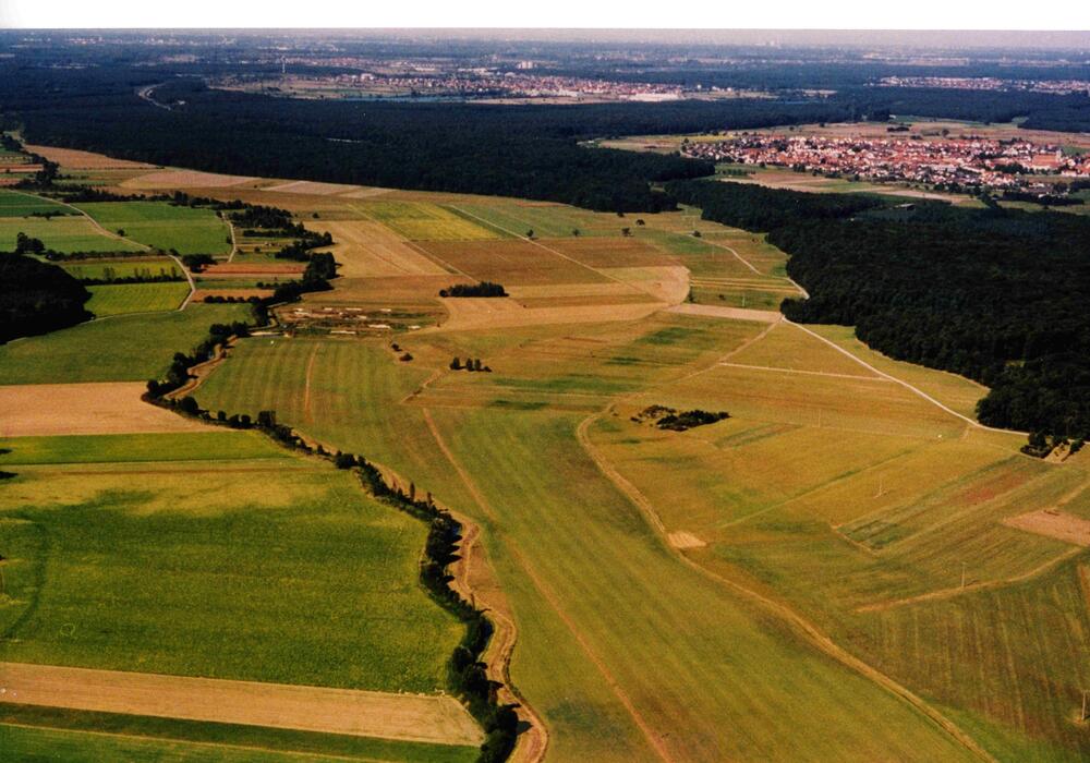 Goldene Natur 2001 Luftaufnahme der Saalbachniederung Foto NABU Hambrücken &copy; NABU Hambrücken