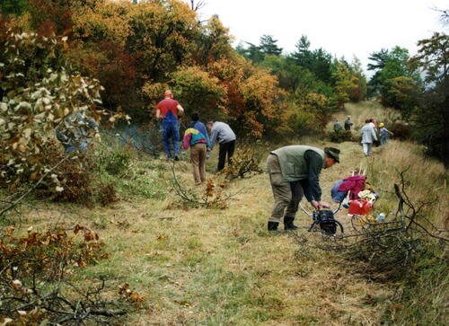 Goldene Natur 2001 Schießplatz Rothenstein Entbuschungsarbeiten Foto Klaus Götze 