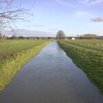 Else Melle Renaturierung 