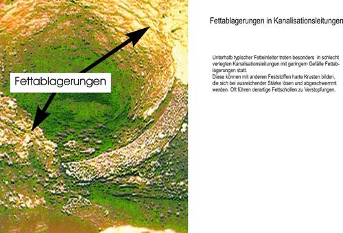 uwat fettablagerungen 