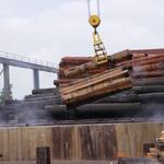 Furnierwerk Kochgrube 