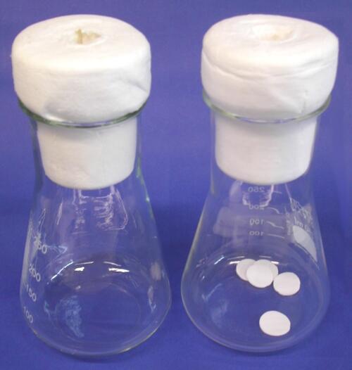 Screening unter Produktionsbedingungen 