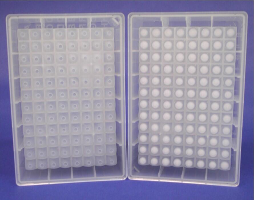 Screening unter Produktionsbedingungen 