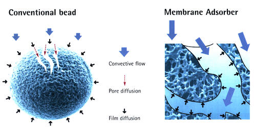 Modulares membranadsorberbasiertes Aufreinigungssystem für Proteine 