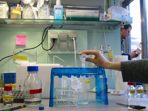 Robuste Enzyme zur Herstellung von Feinchemikalien 