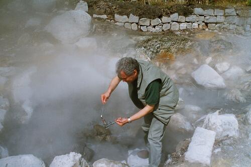 Biocatalysis with robust enzymes 