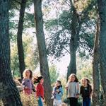 Botschafter der Umwelt 