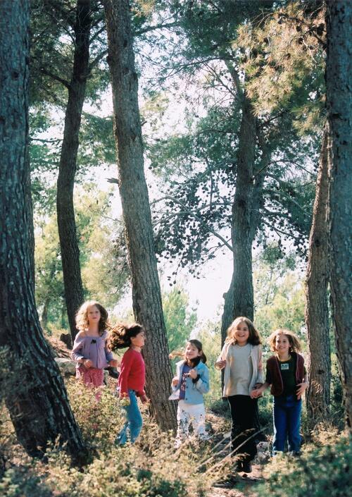 Botschafter der Umwelt 