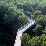 Baumkronenpfad Hainich 