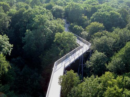 Baumkronenpfad Hainich 