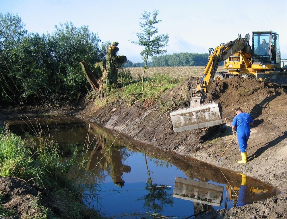 Gewässersanierung Amphibienschutz 